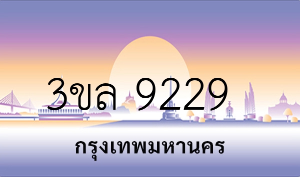 3ขล 9229
